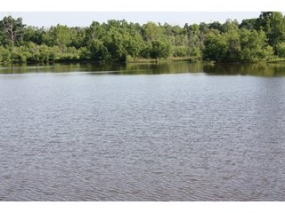 Property photo 12 - Creek County - Oklahoma Land Auction, 1,107 Acres 2 Tracts